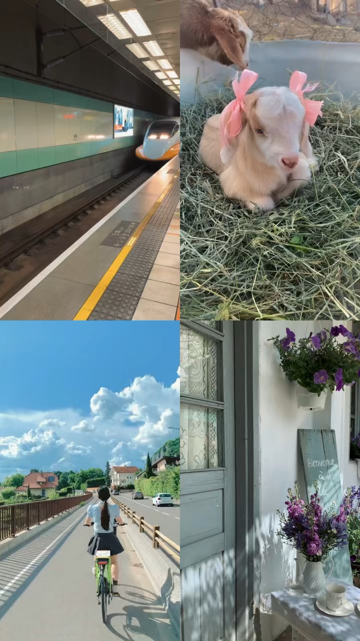 4 Grid Video 