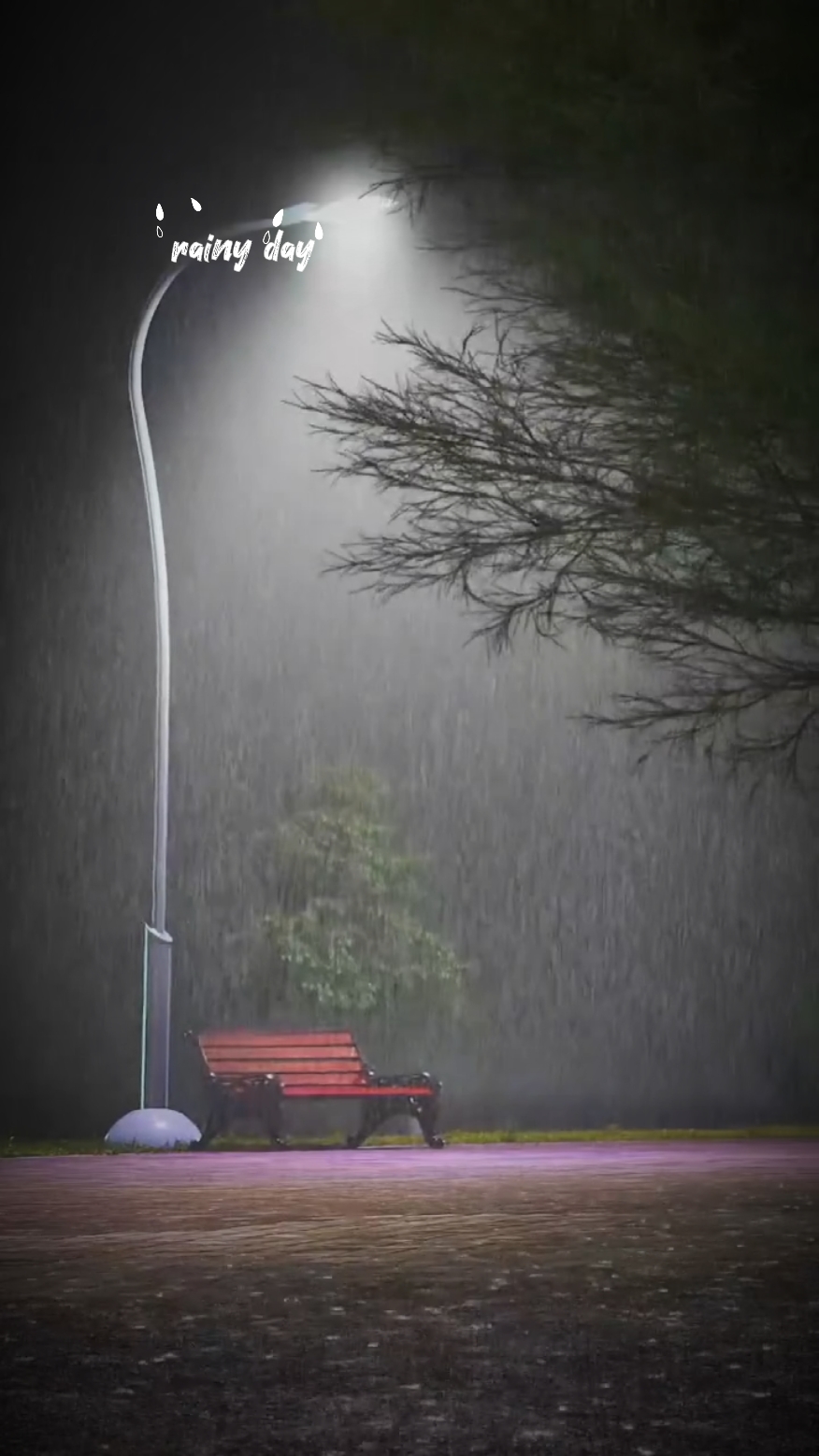 雨下的博客