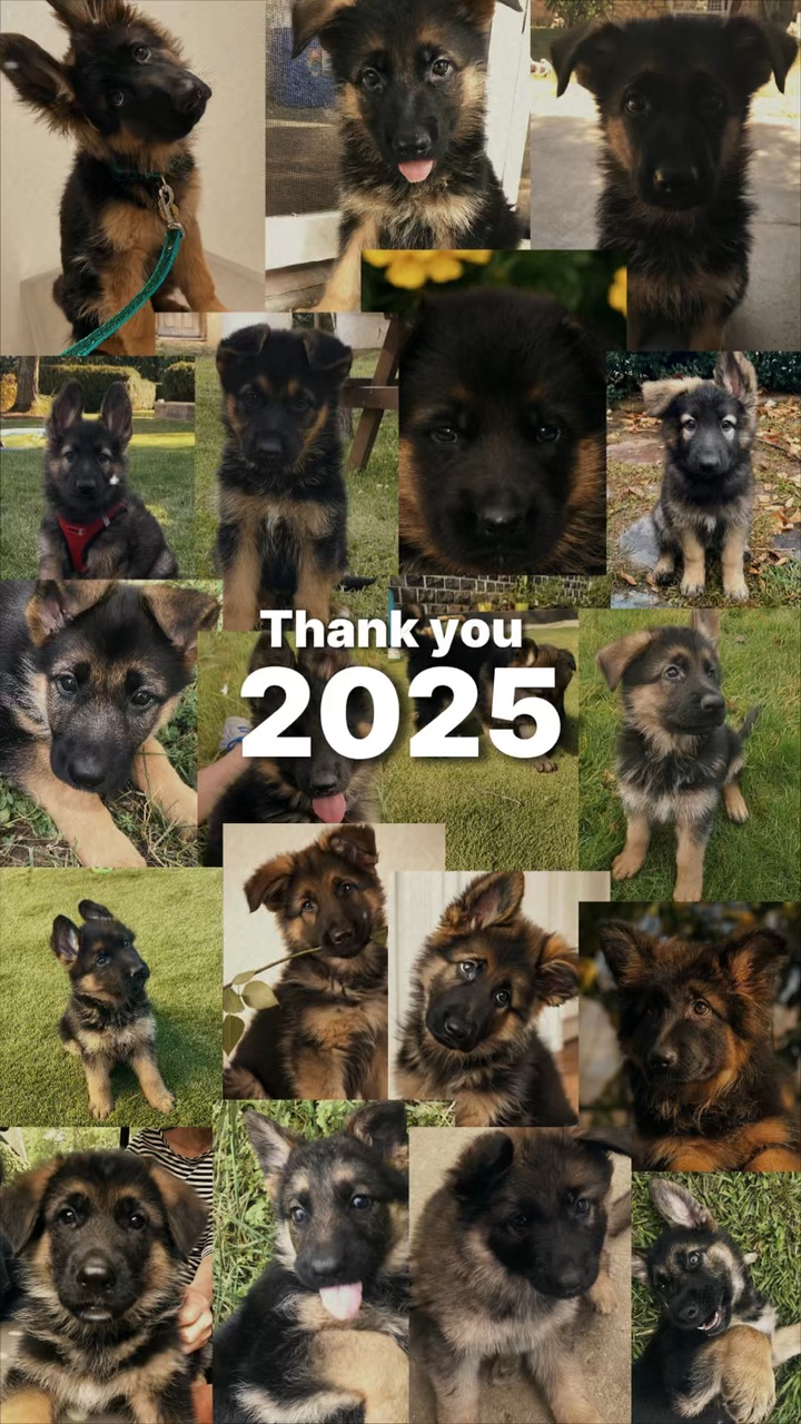 Merci 2025