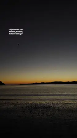 yeni şablon 