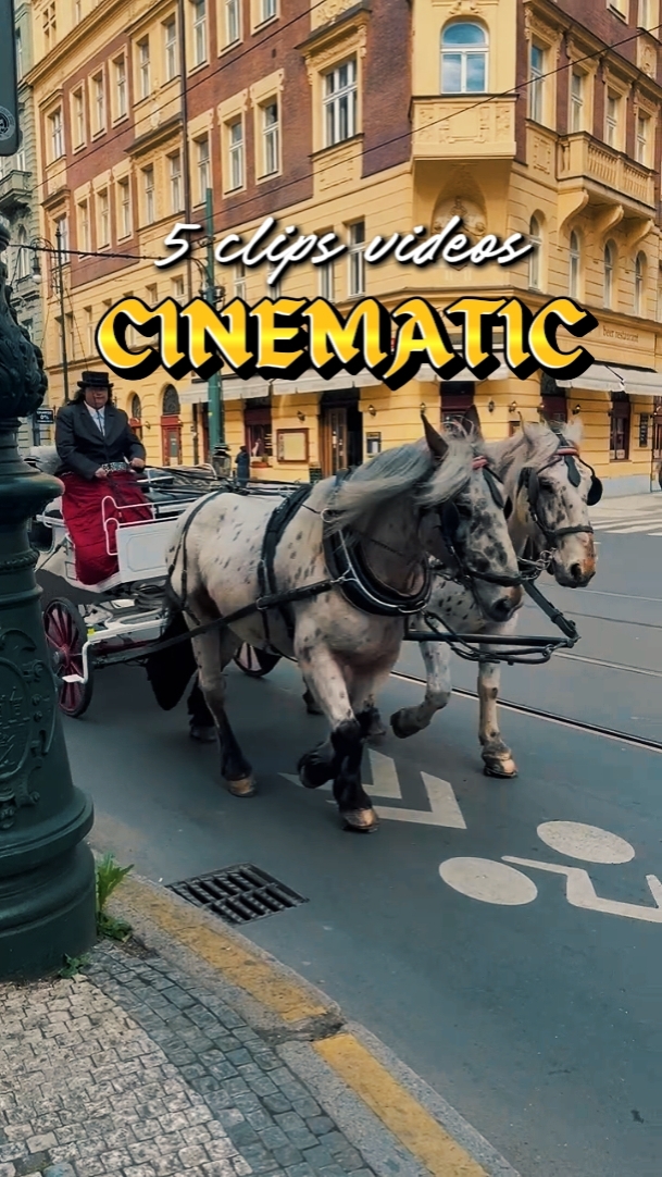 5 clips vidéo