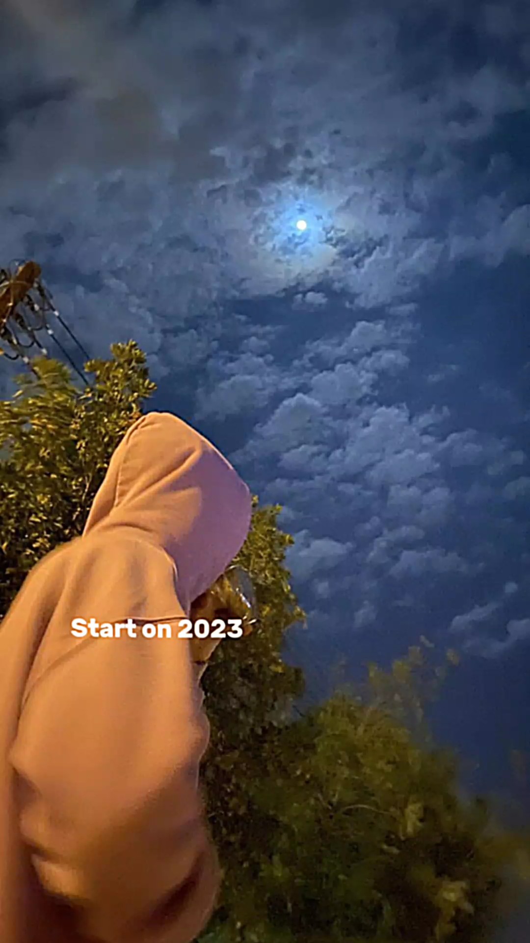 Solteiro em 2024