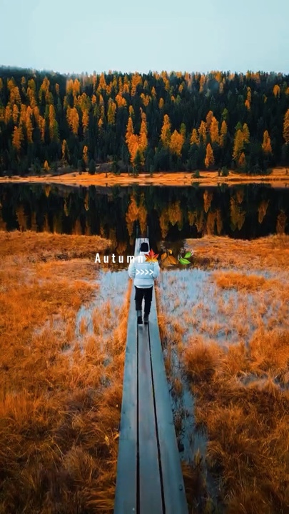 Autumn