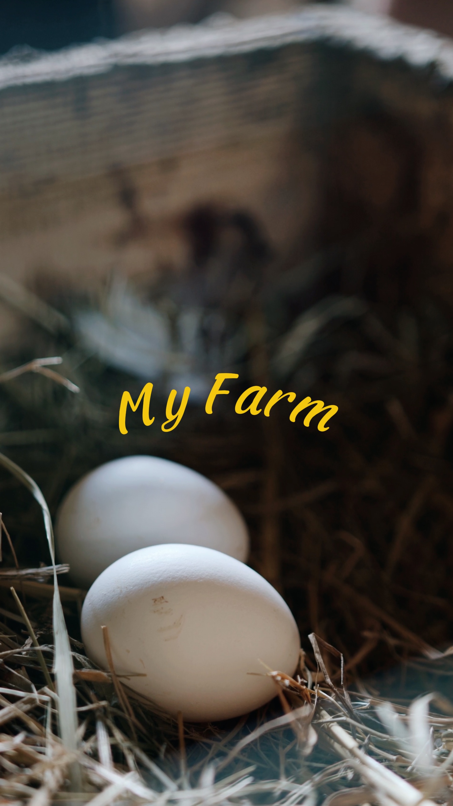 My Farm 