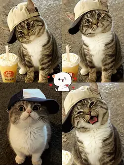cute