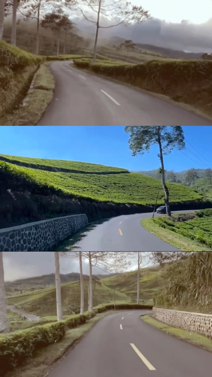 Layout 3 mga video