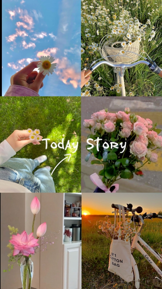 Mi historia