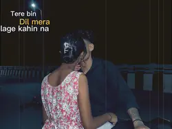 Tere bin dil mera