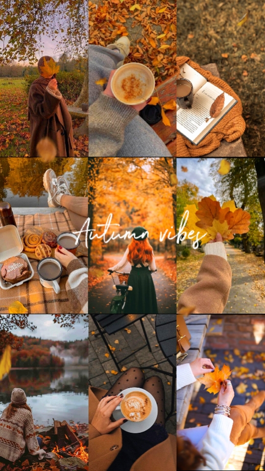 Autumn Vibes 
