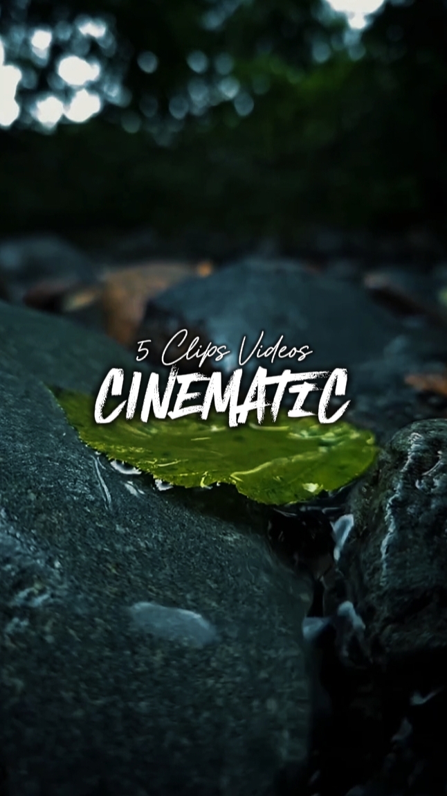 5 Clips Videos