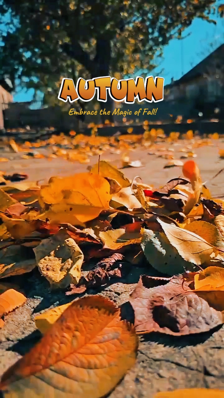 Autumn has arrived