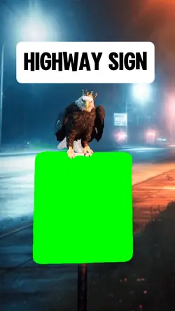 HIGHWAY SIGN