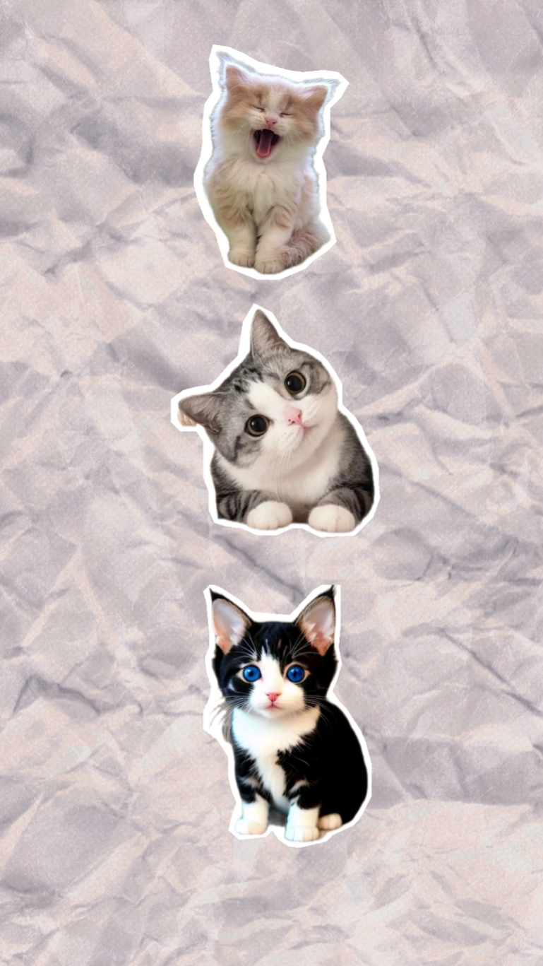 Cat Template 