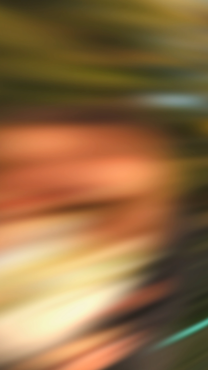 Next Template 