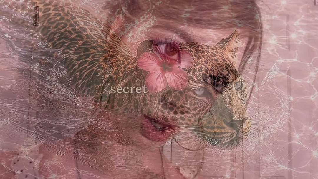 Animal - Katseye