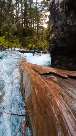 Adventure