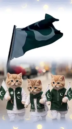 14th August Pakistan