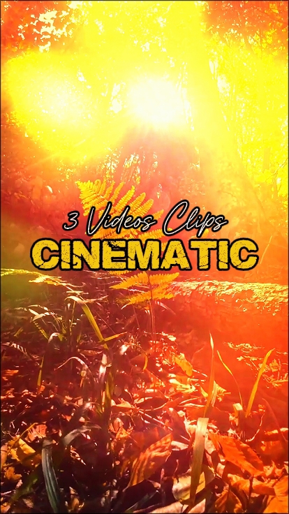 3 Videos Clips 