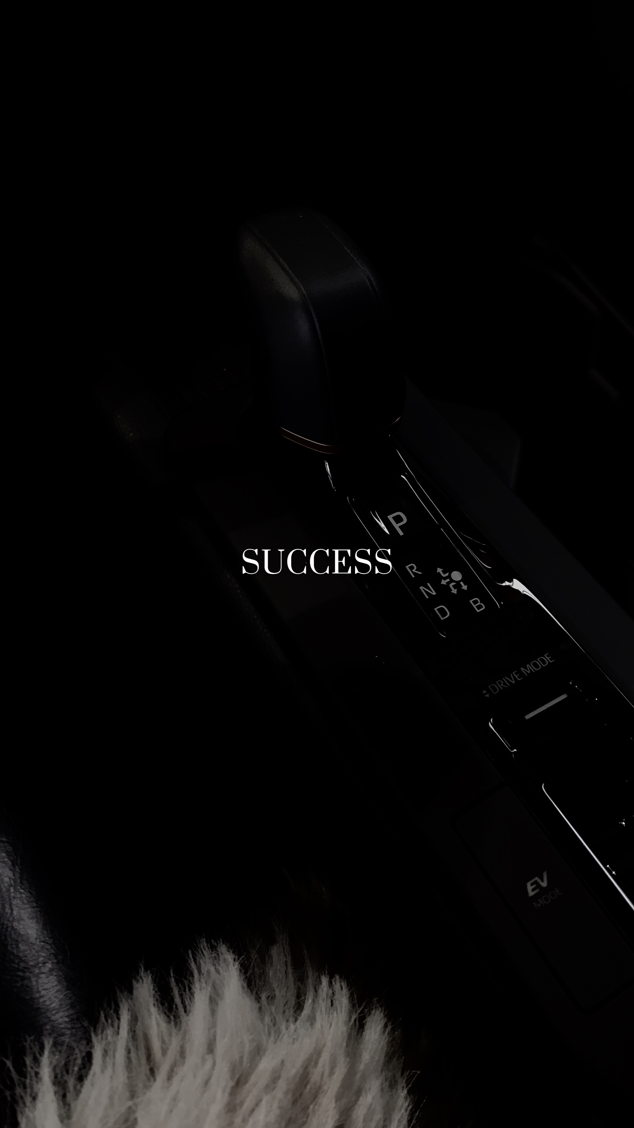 = success ⚜️