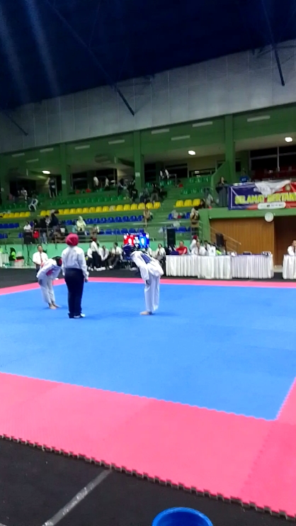 TAEKWONDO FIGHTER