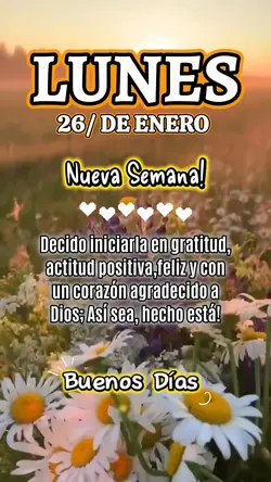 Buenos Días Frases