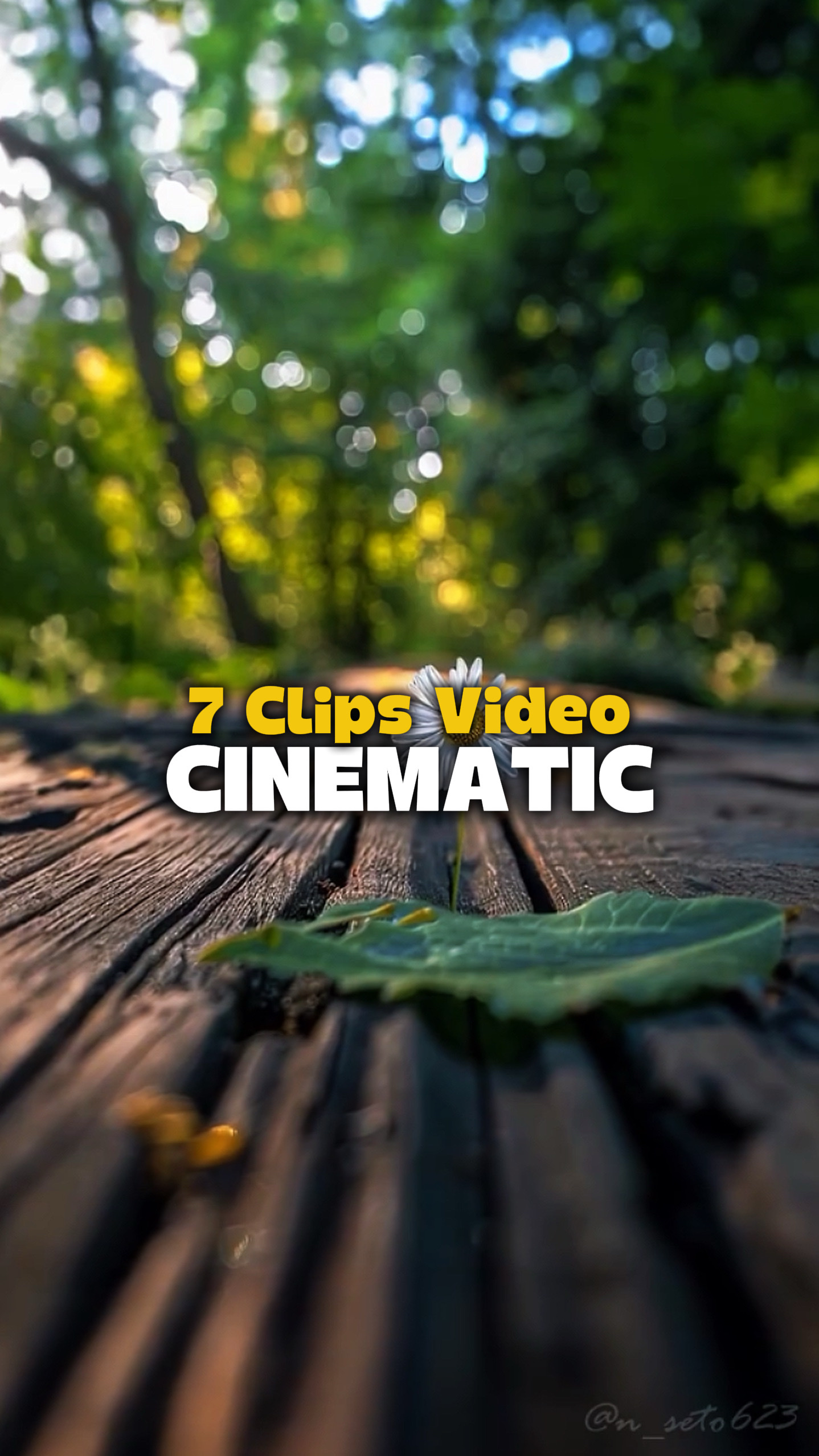 7 Videos Cinematic 