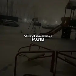 Vinyl audio p.613🎧