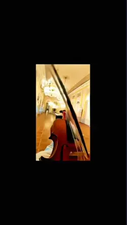 édit violon trend 