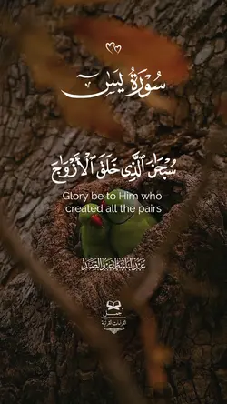 سورة يس عبدالباسط