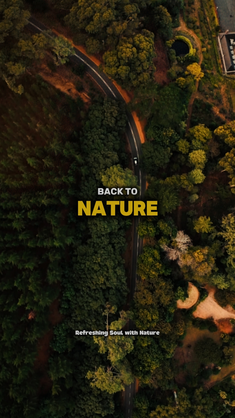 Back to Nature