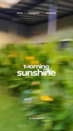 morning sunshine