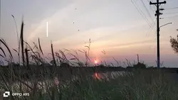 color gradient