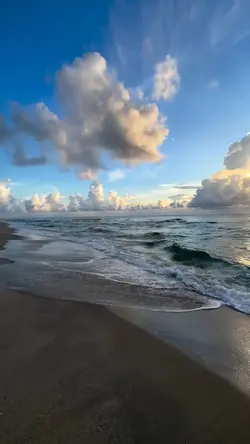slowmo