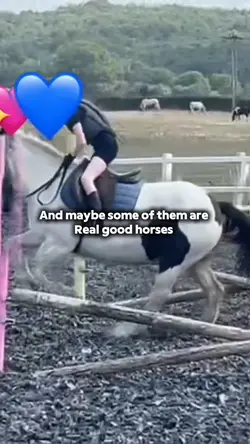 Horses ๐