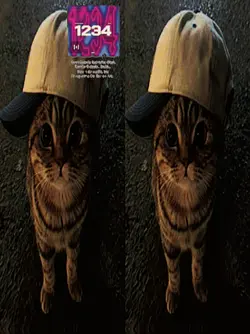 1234
