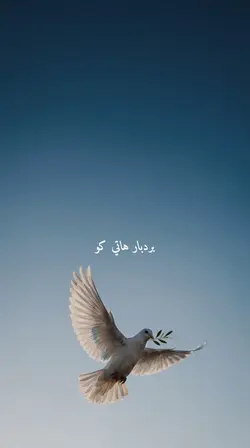 Berdebar hati ku