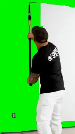 Painters Reveal