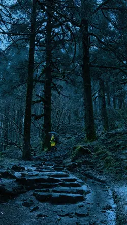Dark Blue Cinematic
