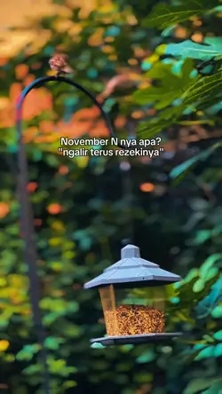 bahan story