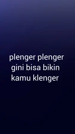 plenger plenger gini