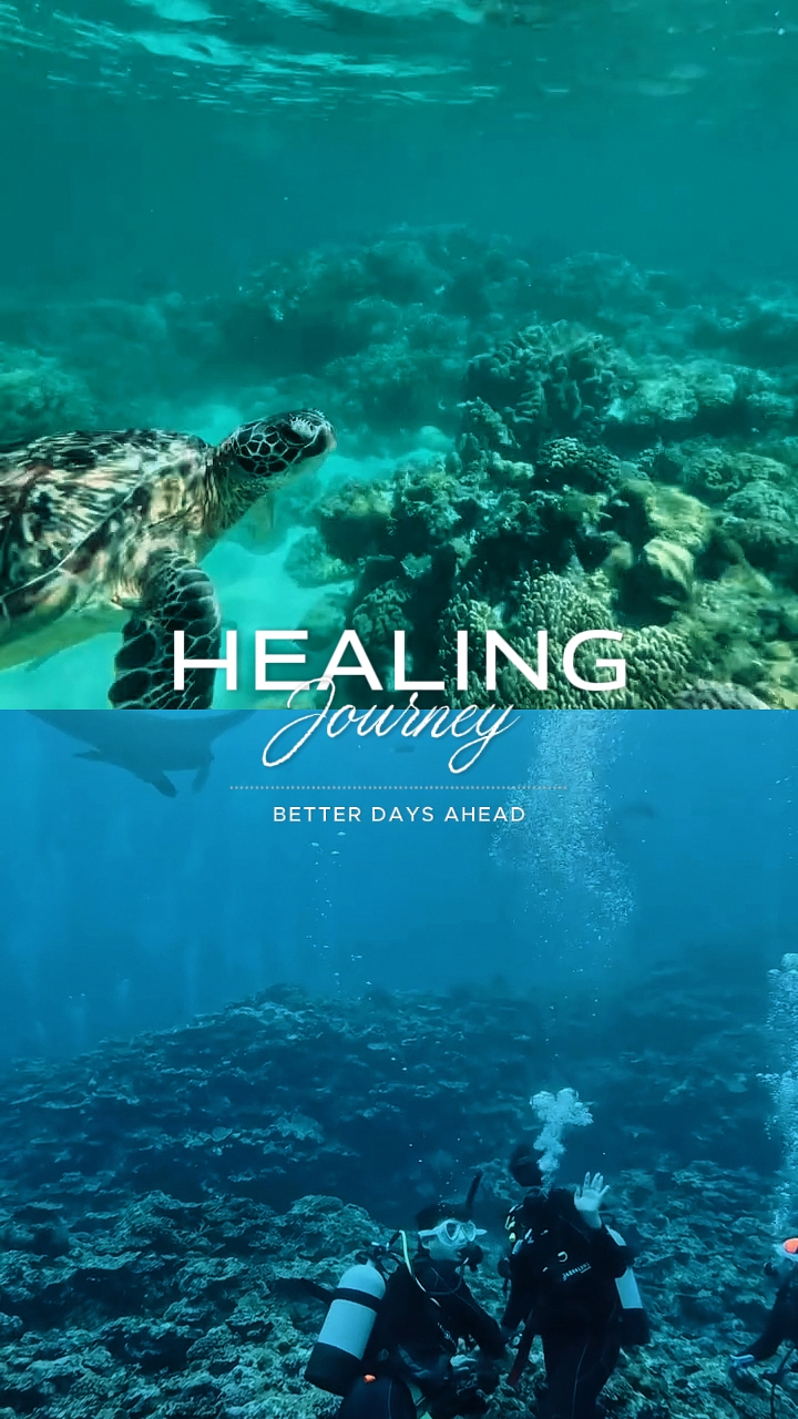 Healing Journey 