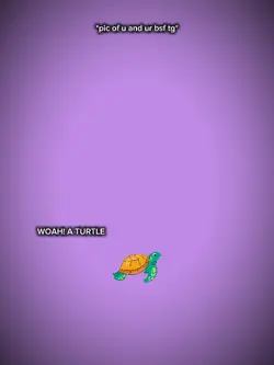 Woah a turtle 