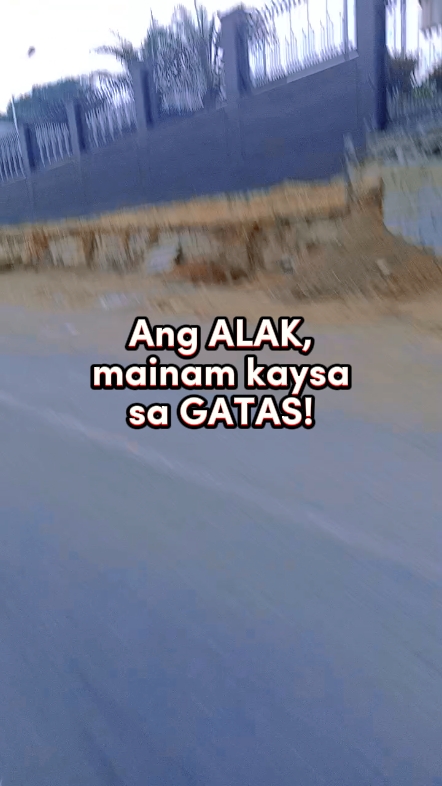 Nakakatawang Quotes