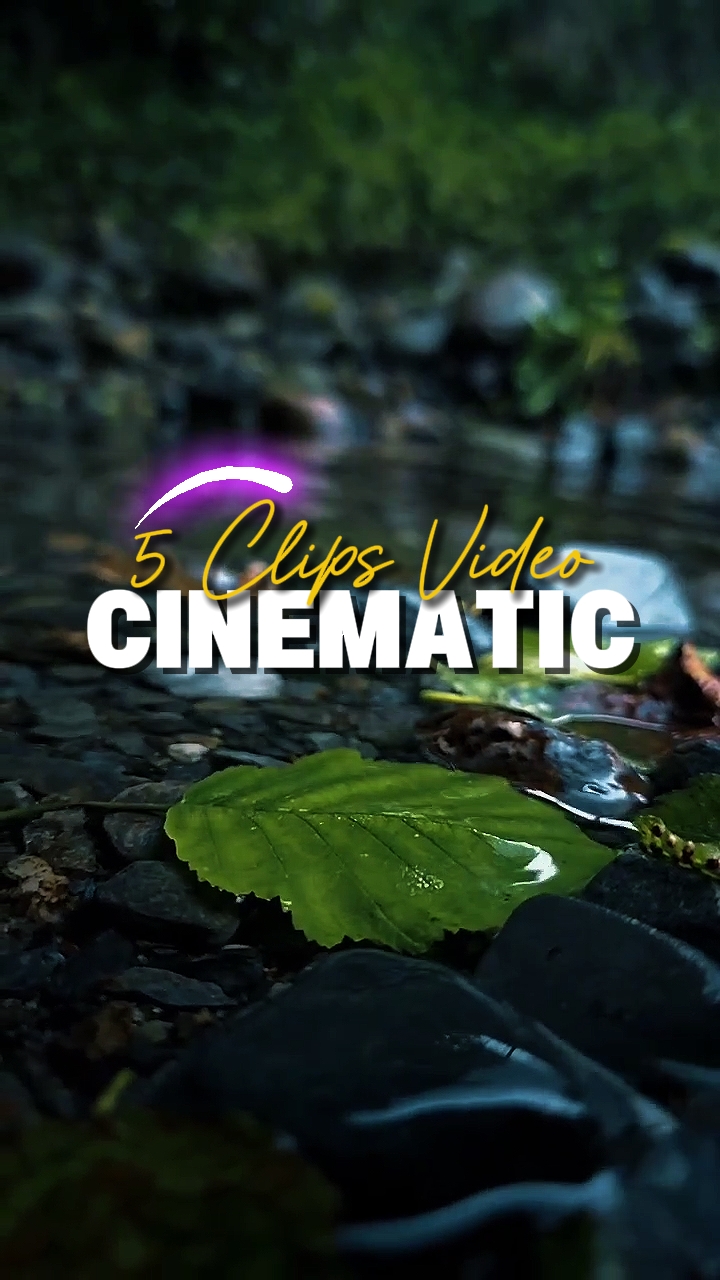 5 Clips Video 