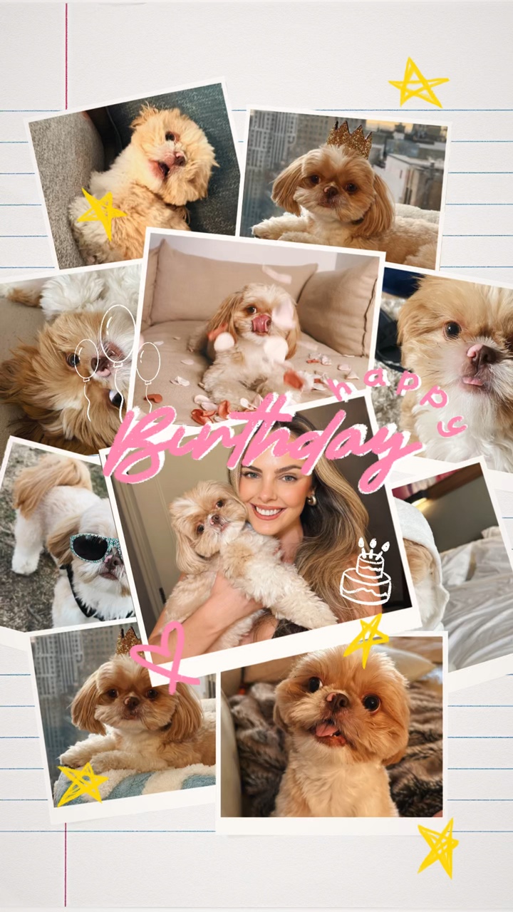 애완동물 생일 🎉 