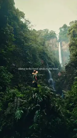 CINEMATIC NATURE