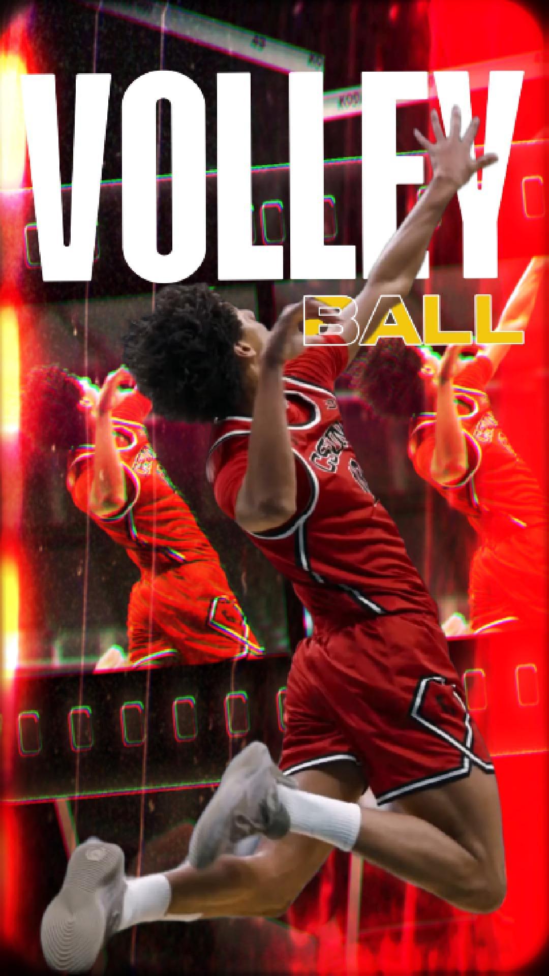 VOLEIBOL