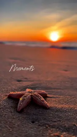 Moments