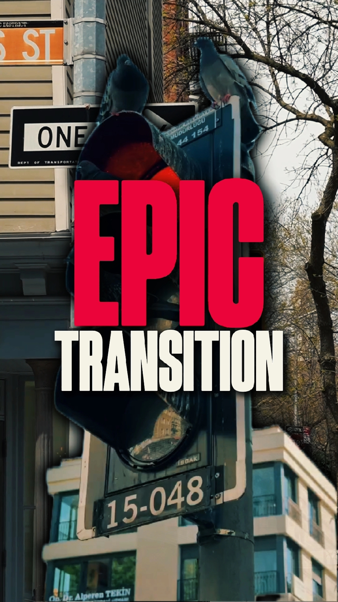 TRANSISI EPIK