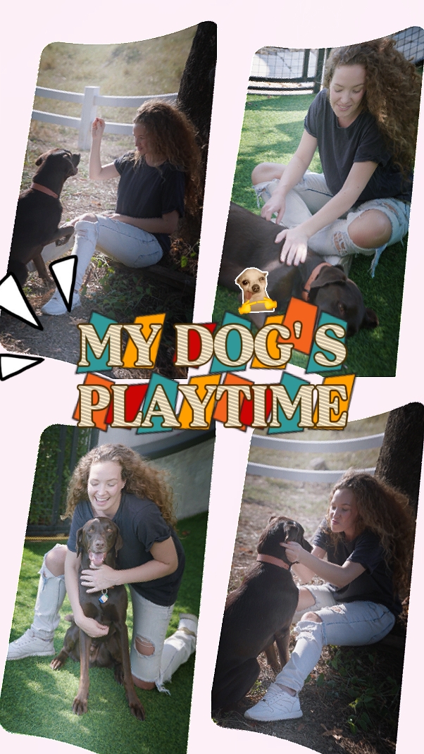 Mi Tiempo De Juego De Perros